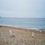Understanding the Impact of Coastal Erosion on Hove Properties 2026 Planning